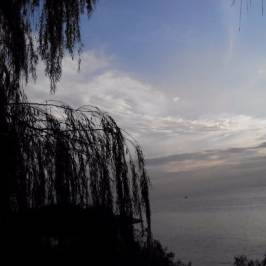 East Dongting Lake National Nature Reserve