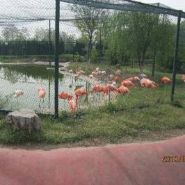Shijiazhuang Zoo