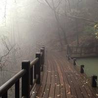 Mogan Mountain