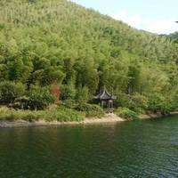 Bamboo Park