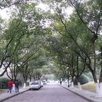 Qi Garden