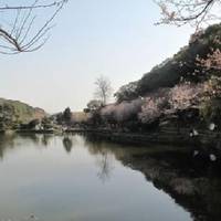 Wangyue Park