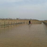 Zhangjiagang Shuangshan Island