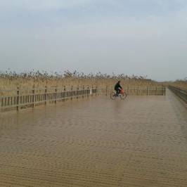 Zhangjiagang Shuangshan Island