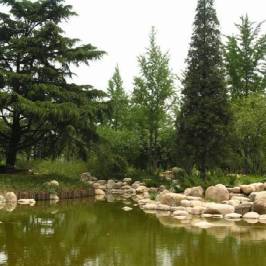Weifang People's Park