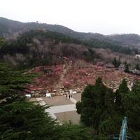 Yantai Da Nanshan Park