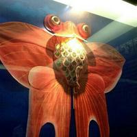 Kite Museum