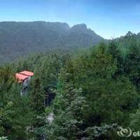 Chongqing Tiefeng Mountain