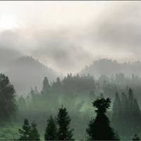 Zihuai Virgin forest