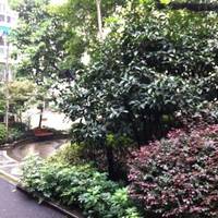 Chongqing Science and Technology College