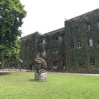 Xinan University