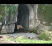 Chongqing Dayuan Cave