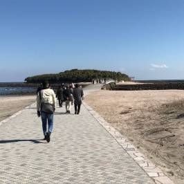 Onino Sentakuita