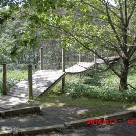 Kushiro Shitsugen Observatory Boardwalk