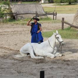 Varga Tanya Horse Show