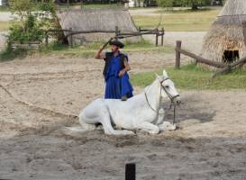 Varga Tanya Horse Show