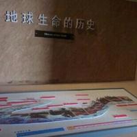 Anhui Museum