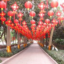 Qifeng Park