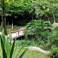 Longtoushan Forest Park
