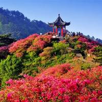 Guishan Park