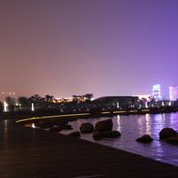Jianghan Lake Area Marsh