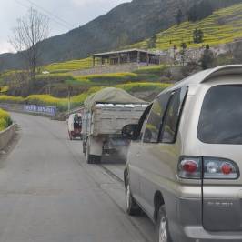 Luosi Field, Luoping