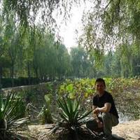 Sui and Tang Dynasty Town Botanic Gardens