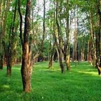 Taohuaxi Park