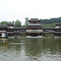 Bulao Pine