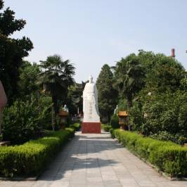 Zhongjing Museum of Medical History Document