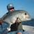 Bonefish - E2's Way
