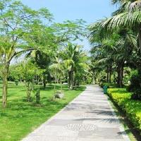 Donghaidao Forest Park