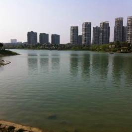 Tian Tan Garden