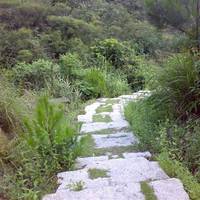 Phoenix Hill of Zhuhai