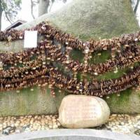 Mt. Jingshan Park of Zhuhai