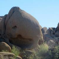 Skull Rock