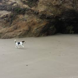 Hug Point State Park
