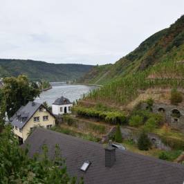 Beilstein Castle/Burg Metternich