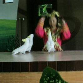 Lvshun Birds Park