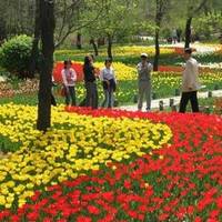 Wuli River Park