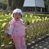 Shenyang South Lake Park
