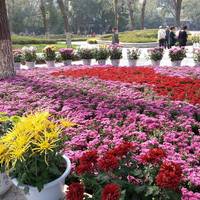 Shenyang Zhongshan Park