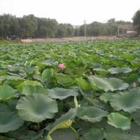 Wanliutang Park