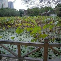Citong Park, Quanzhou