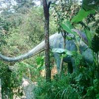 Lianhua Forest Park