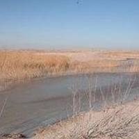 Shiyingzhuang Site