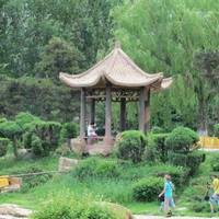 Peony Garden