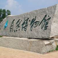 Jilin Museum