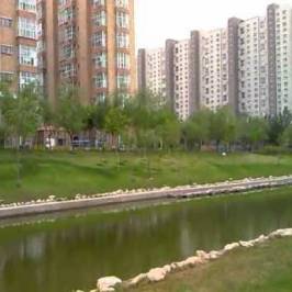 Daqing Forest Park