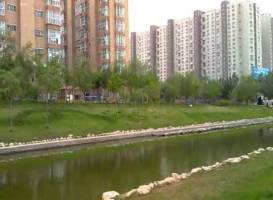 Daqing Forest Park